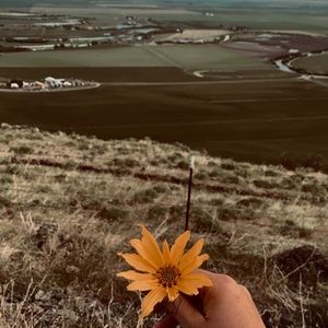 Meet your Posher, Lucy